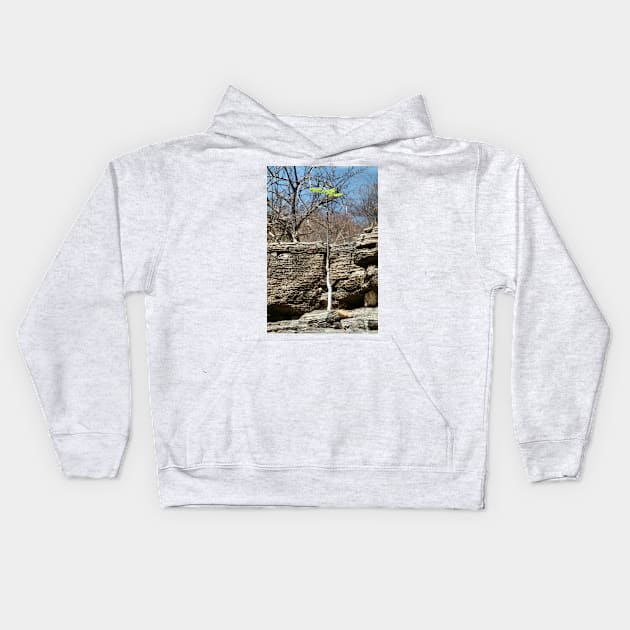 Struggling Tree, Namibia Kids Hoodie by Carole-Anne